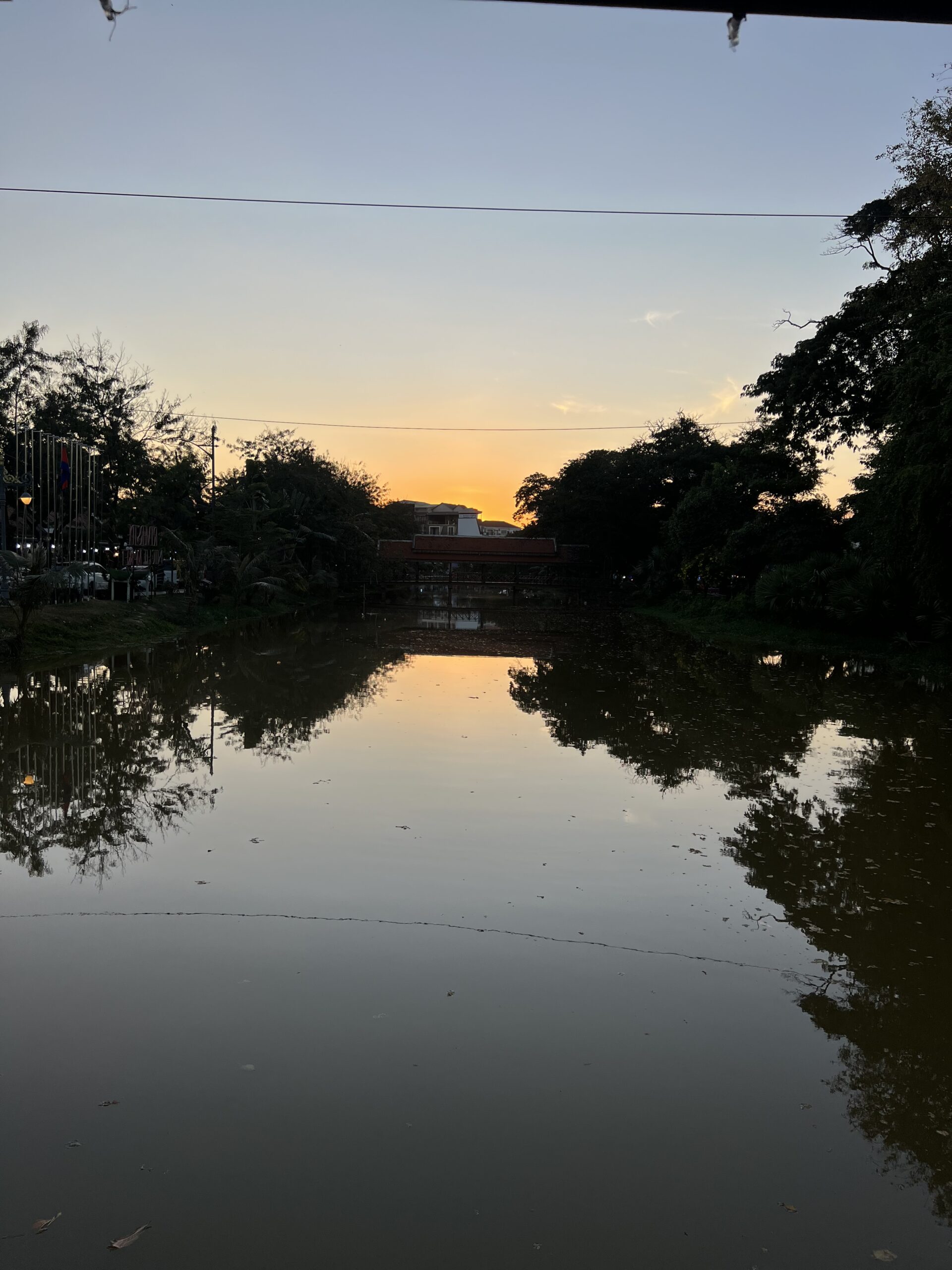 Still water reflecting trees at dusk