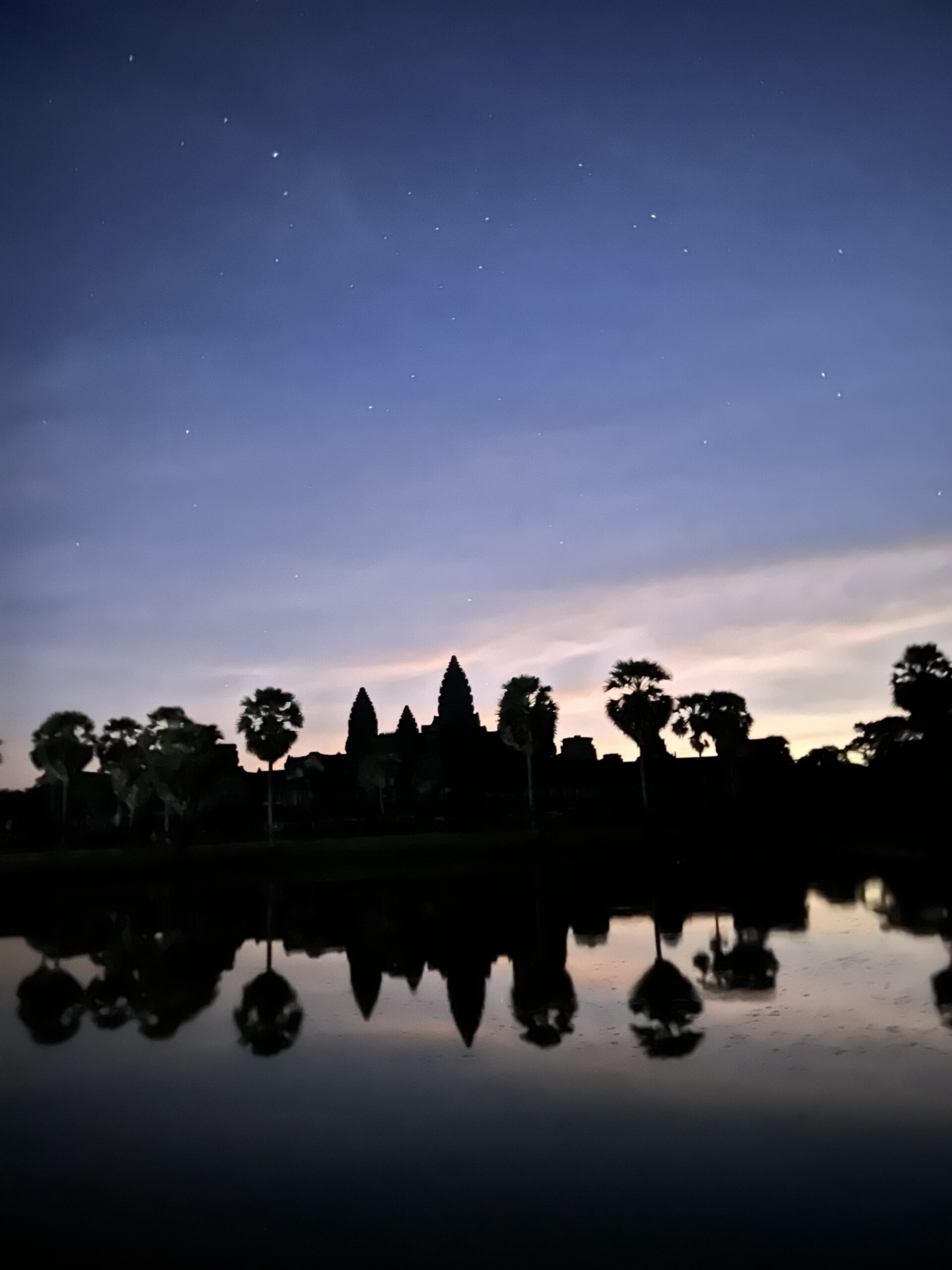 Trip snapshot
